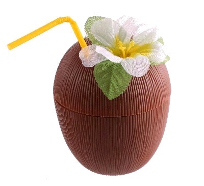 coconut-cup-straw
